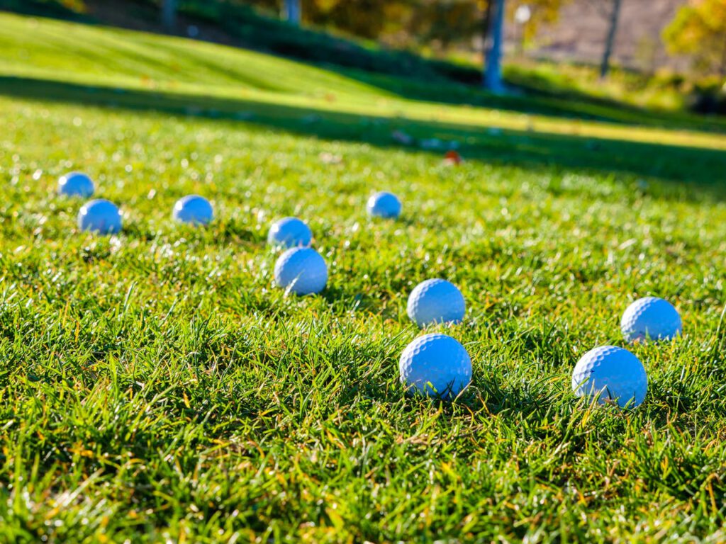 Golf Balls on Grass